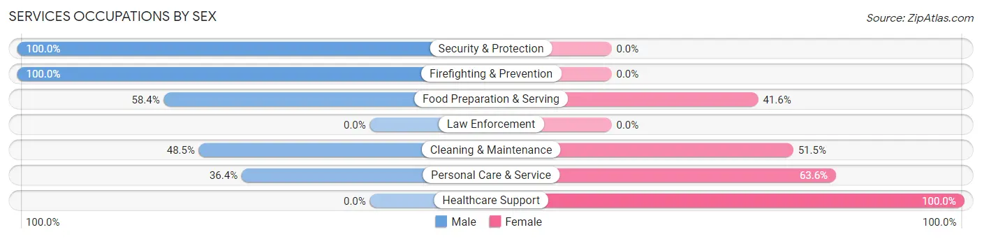 Services Occupations by Sex in Zip Code 05033