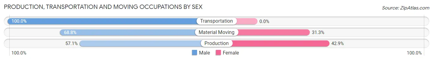 Production, Transportation and Moving Occupations by Sex in Zip Code 05039