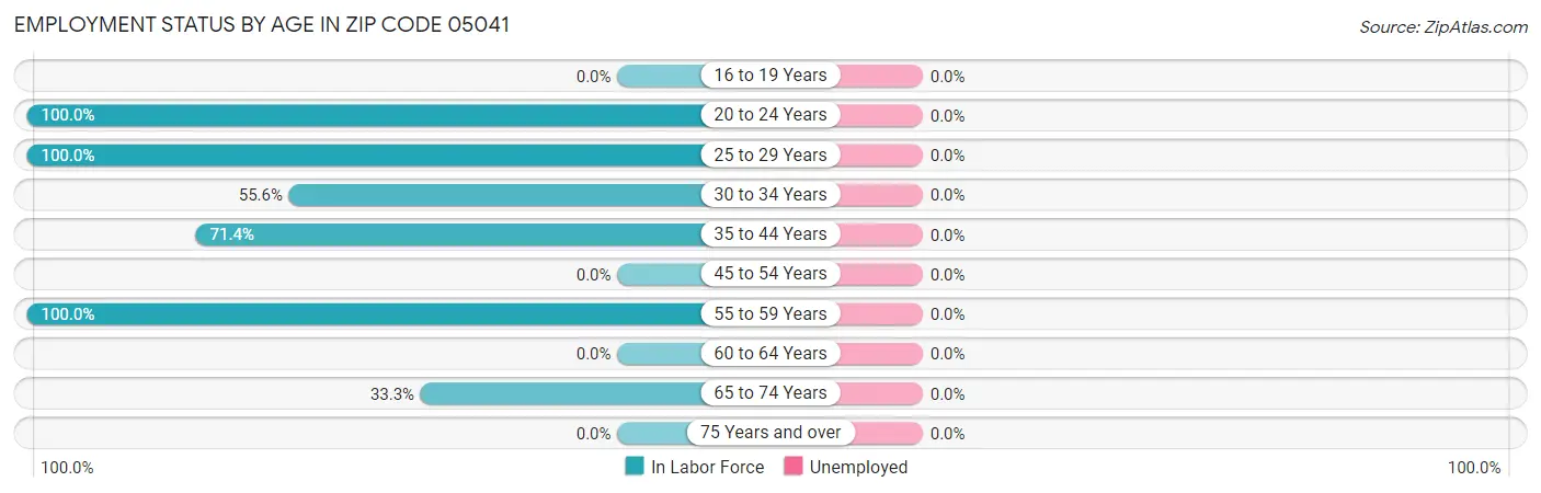 Employment Status by Age in Zip Code 05041