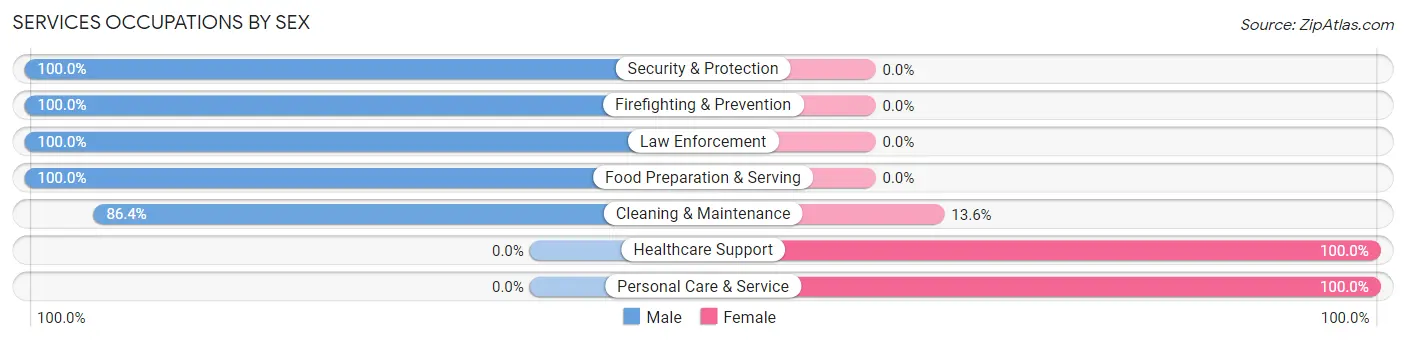 Services Occupations by Sex in Zip Code 05046