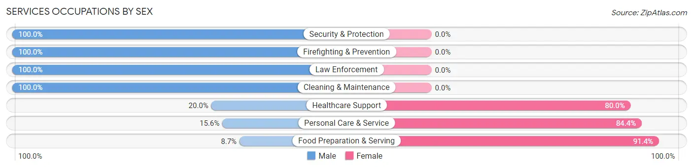 Services Occupations by Sex in Zip Code 05060