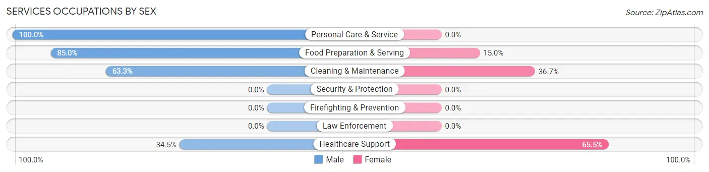 Services Occupations by Sex in Zip Code 05065