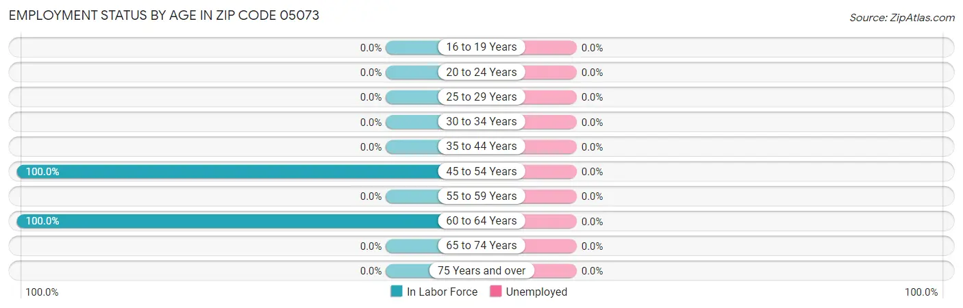 Employment Status by Age in Zip Code 05073