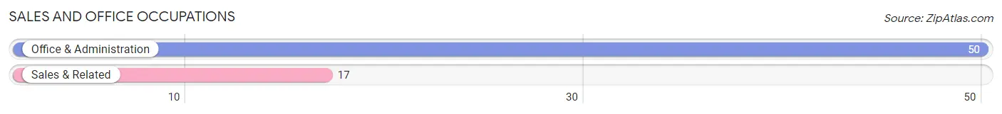 Sales and Office Occupations in Zip Code 05075