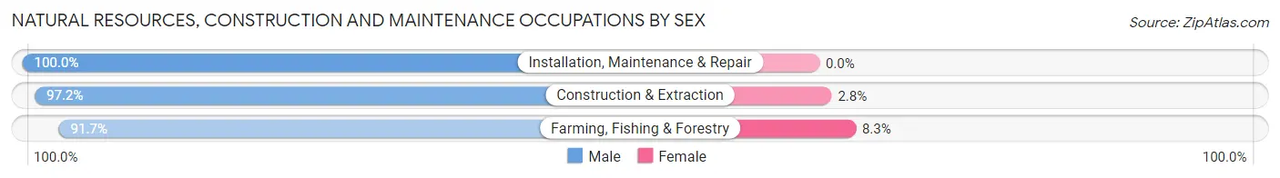 Natural Resources, Construction and Maintenance Occupations by Sex in Zip Code 05077