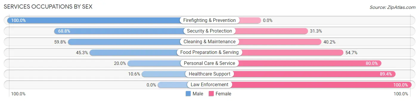 Services Occupations by Sex in Zip Code 05089
