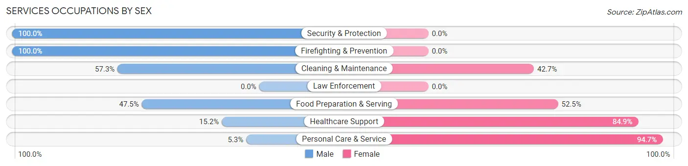 Services Occupations by Sex in Zip Code 05091