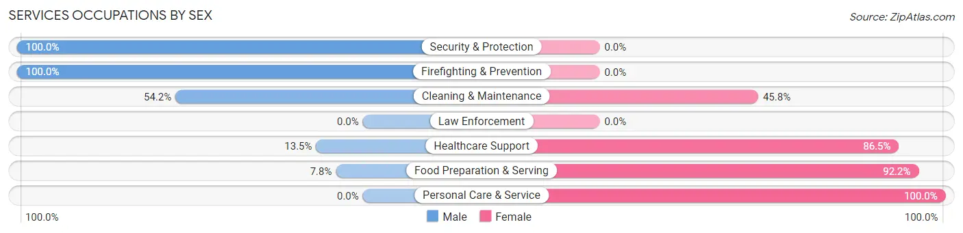 Services Occupations by Sex in Zip Code 05101