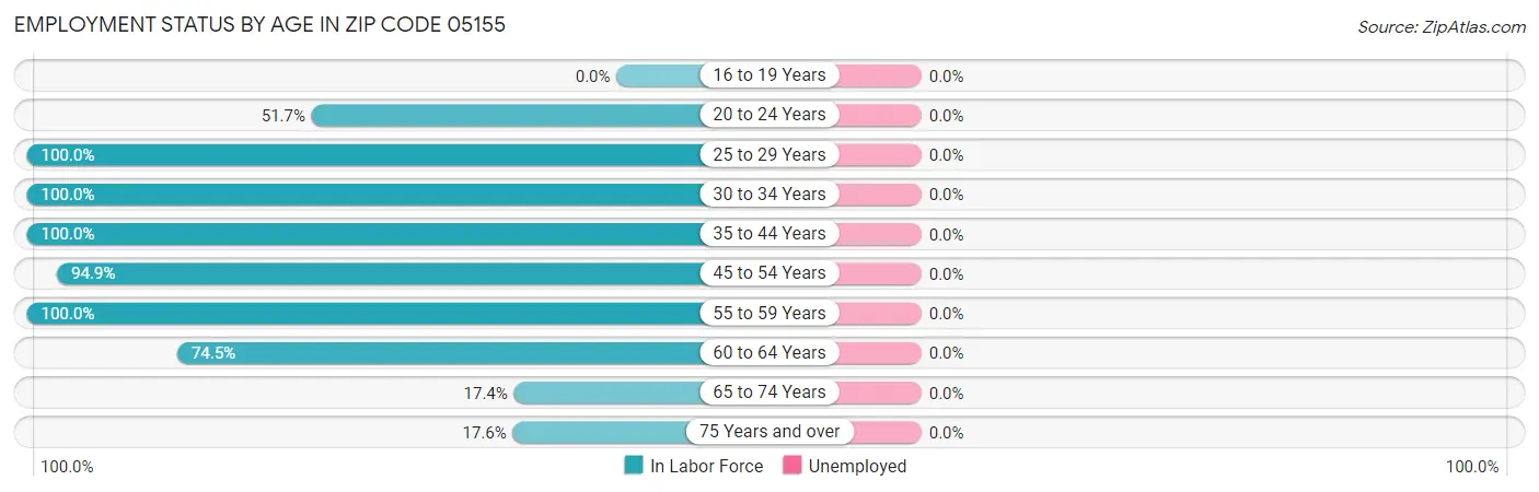 Employment Status by Age in Zip Code 05155