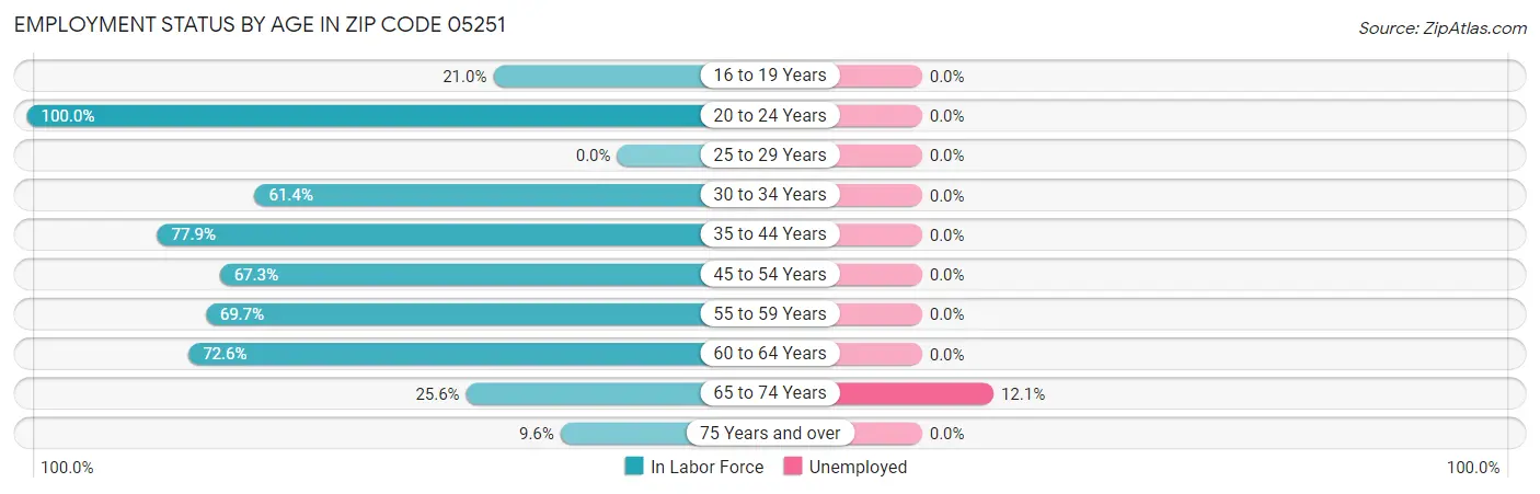 Employment Status by Age in Zip Code 05251