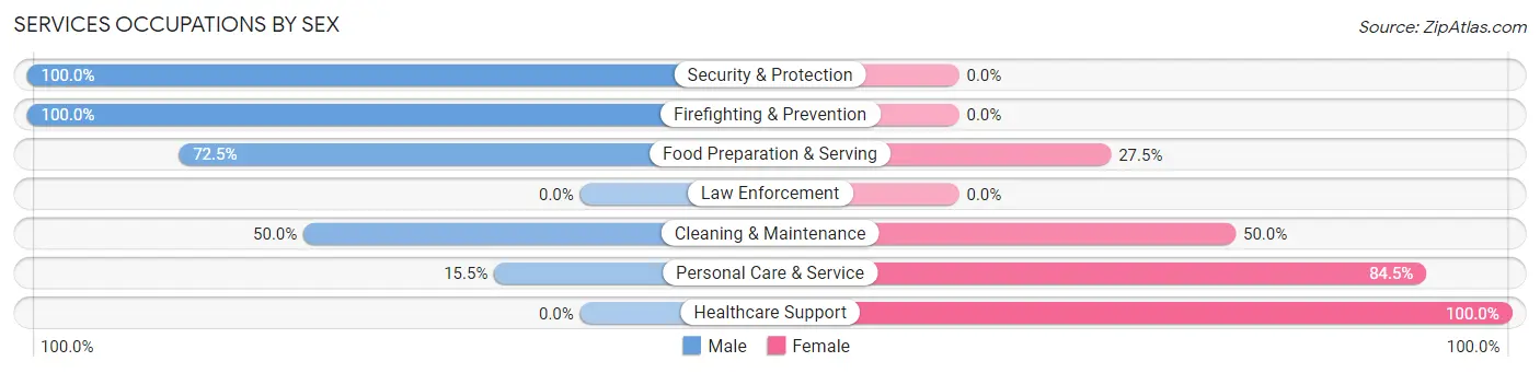 Services Occupations by Sex in Zip Code 05257