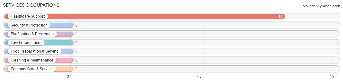 Services Occupations in Zip Code 05260