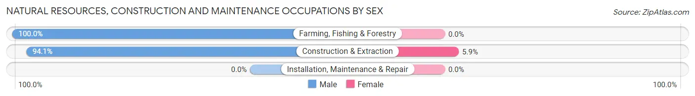 Natural Resources, Construction and Maintenance Occupations by Sex in Zip Code 05340