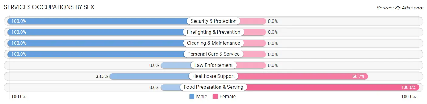 Services Occupations by Sex in Zip Code 05340