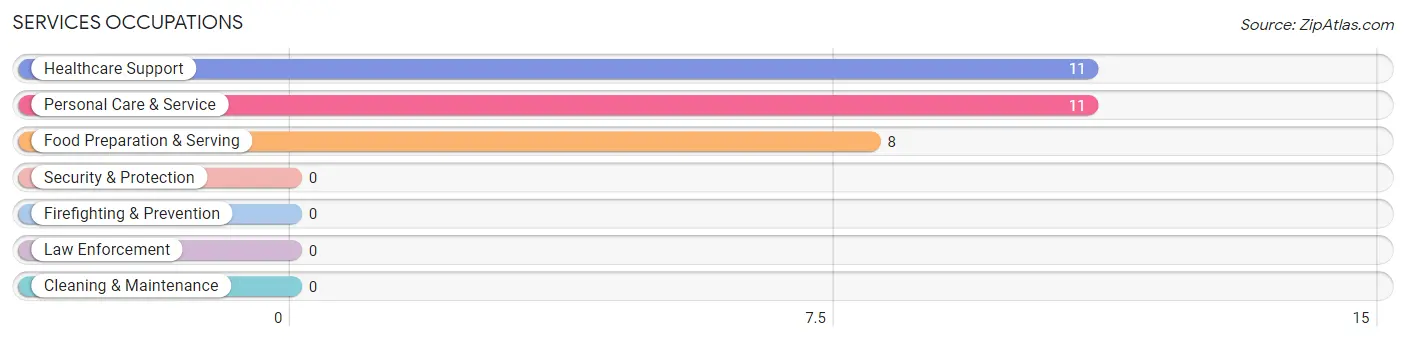 Services Occupations in Zip Code 05341