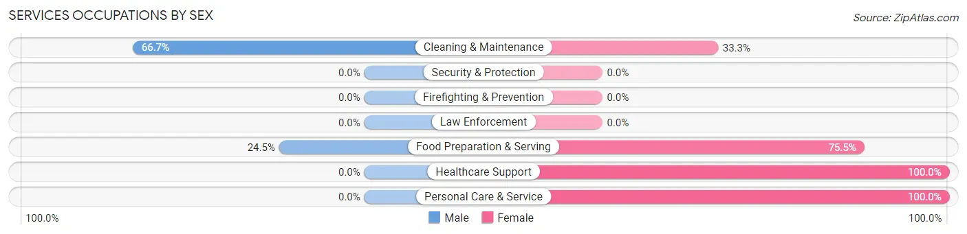 Services Occupations by Sex in Zip Code 05343