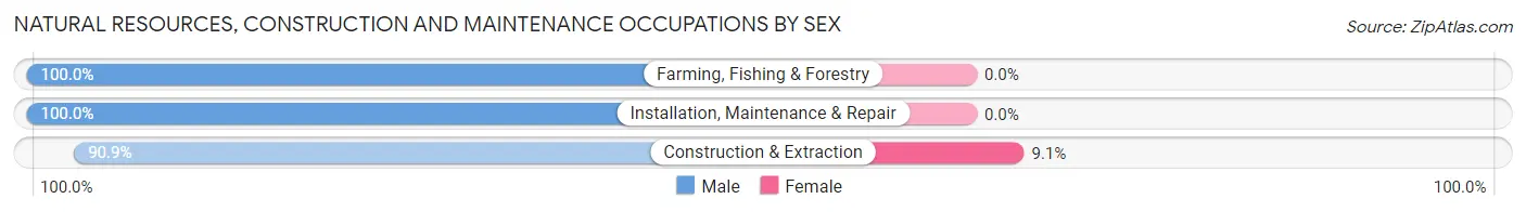 Natural Resources, Construction and Maintenance Occupations by Sex in Zip Code 05345
