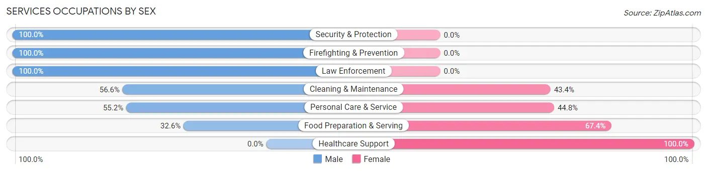 Services Occupations by Sex in Zip Code 05345