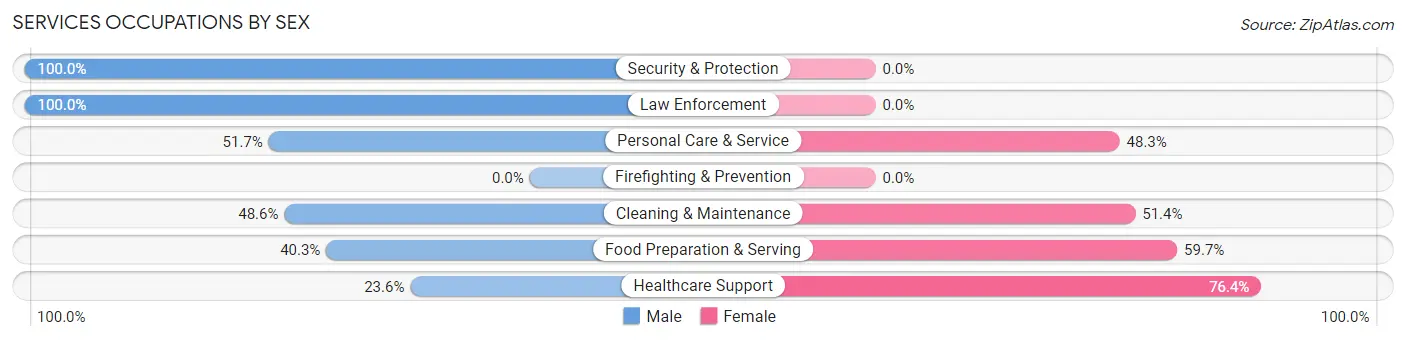 Services Occupations by Sex in Zip Code 05346