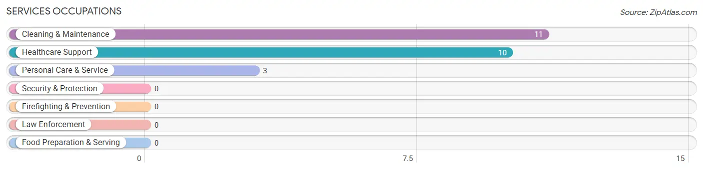 Services Occupations in Zip Code 05362