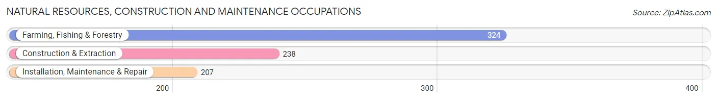 Natural Resources, Construction and Maintenance Occupations in Zip Code 05401