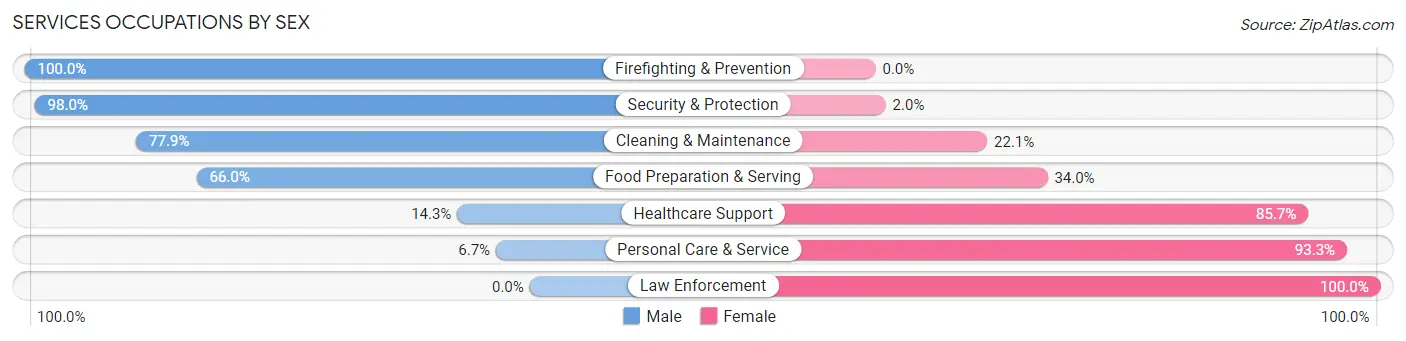 Services Occupations by Sex in Zip Code 05404