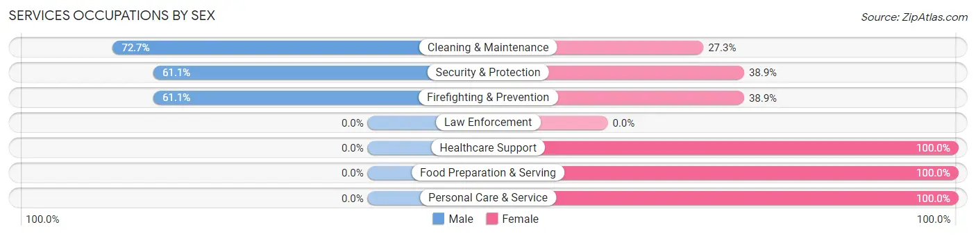 Services Occupations by Sex in Zip Code 05445