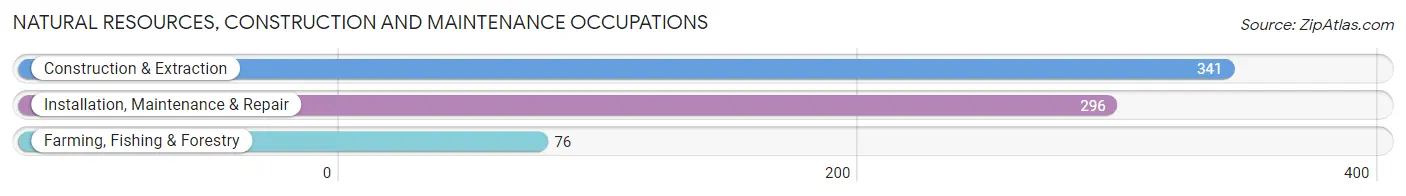 Natural Resources, Construction and Maintenance Occupations in Zip Code 05452