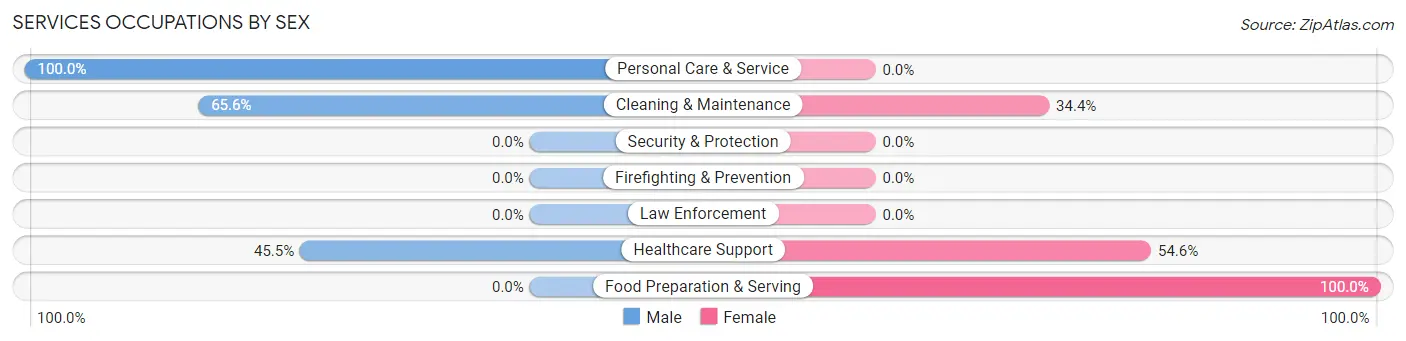 Services Occupations by Sex in Zip Code 05456