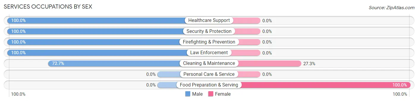 Services Occupations by Sex in Zip Code 05463