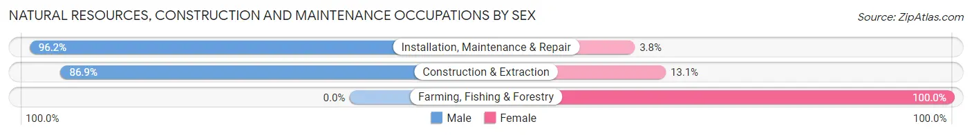 Natural Resources, Construction and Maintenance Occupations by Sex in Zip Code 05464