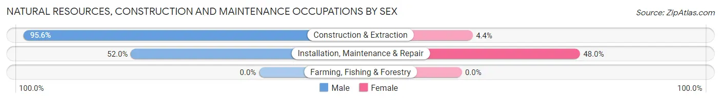 Natural Resources, Construction and Maintenance Occupations by Sex in Zip Code 05465