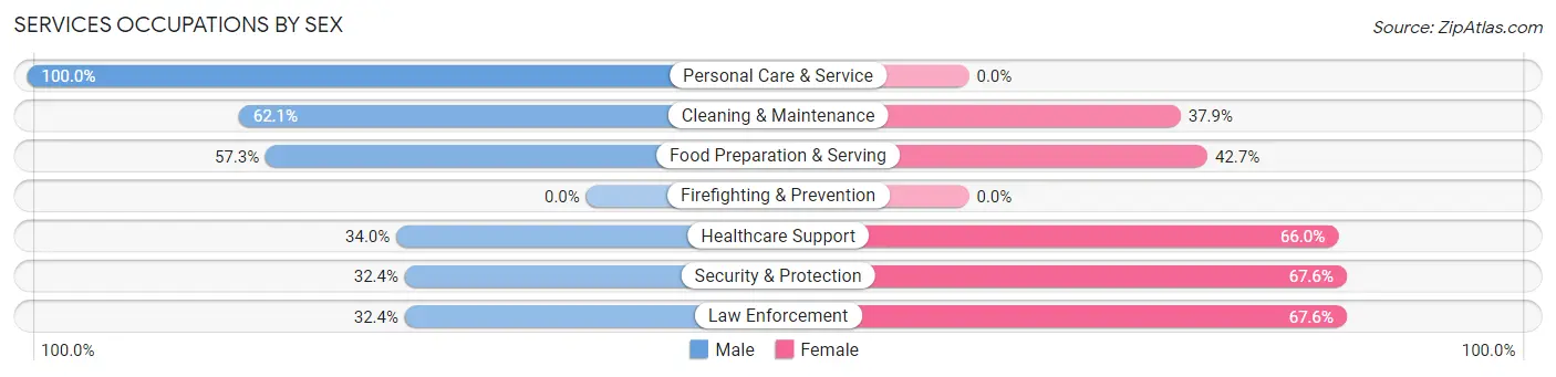 Services Occupations by Sex in Zip Code 05465