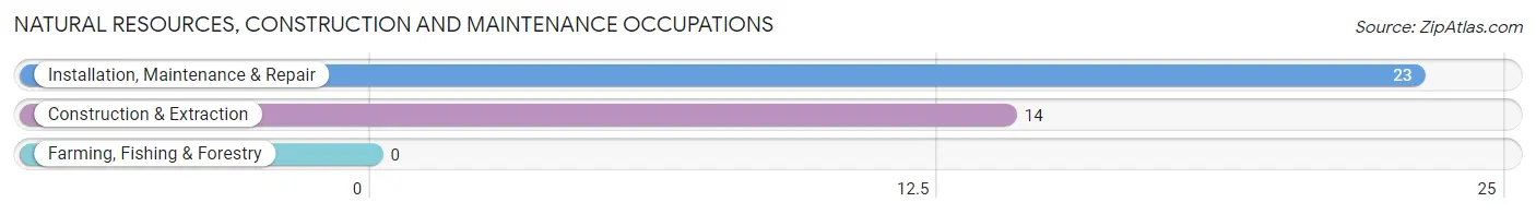 Natural Resources, Construction and Maintenance Occupations in Zip Code 05471