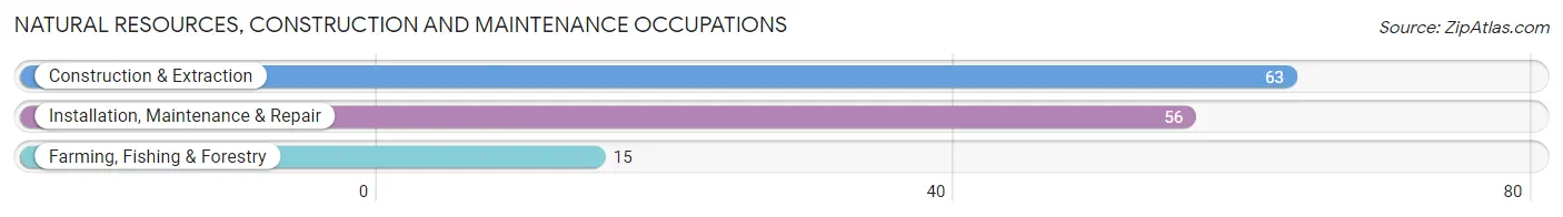 Natural Resources, Construction and Maintenance Occupations in Zip Code 05476