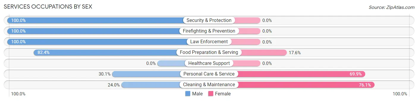 Services Occupations by Sex in Zip Code 05482