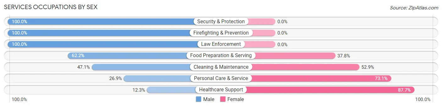 Services Occupations by Sex in Zip Code 05491