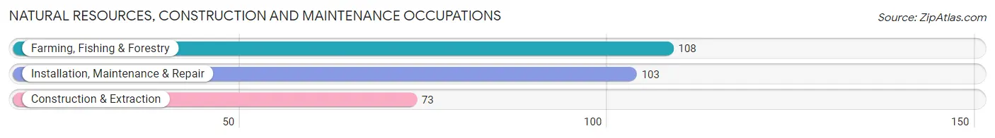 Natural Resources, Construction and Maintenance Occupations in Zip Code 05495