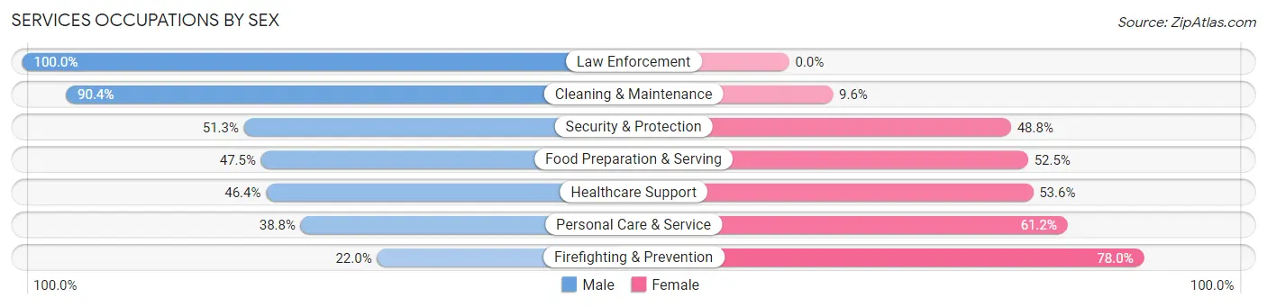 Services Occupations by Sex in Zip Code 05602