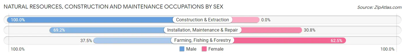 Natural Resources, Construction and Maintenance Occupations by Sex in Zip Code 05647
