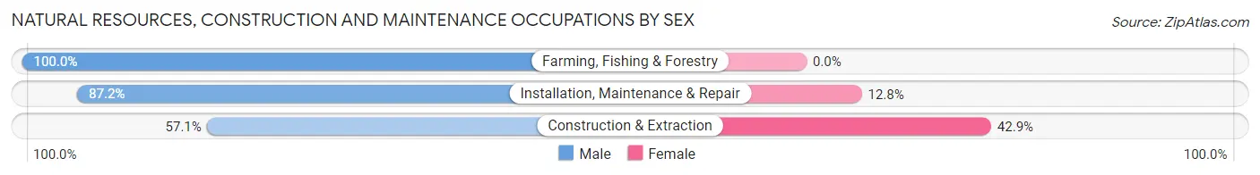 Natural Resources, Construction and Maintenance Occupations by Sex in Zip Code 05651