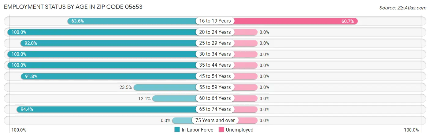 Employment Status by Age in Zip Code 05653