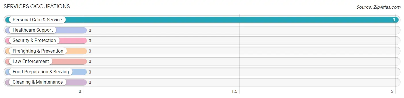 Services Occupations in Zip Code 05666