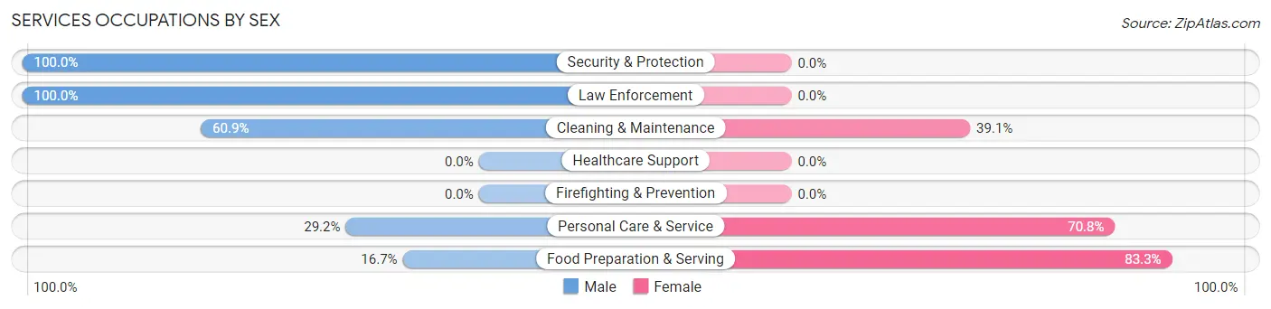 Services Occupations by Sex in Zip Code 05669