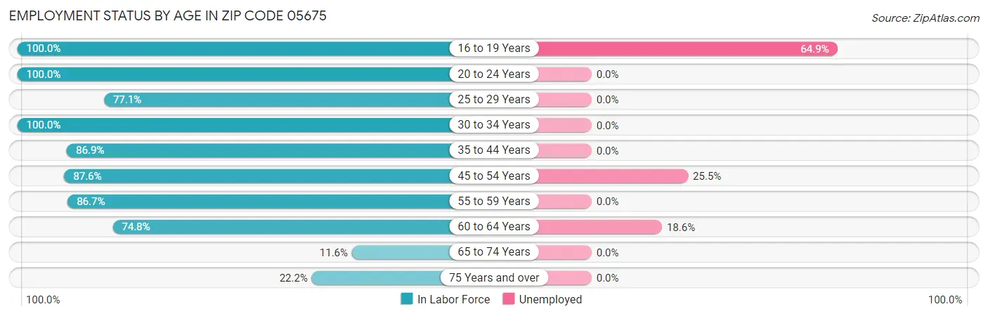 Employment Status by Age in Zip Code 05675