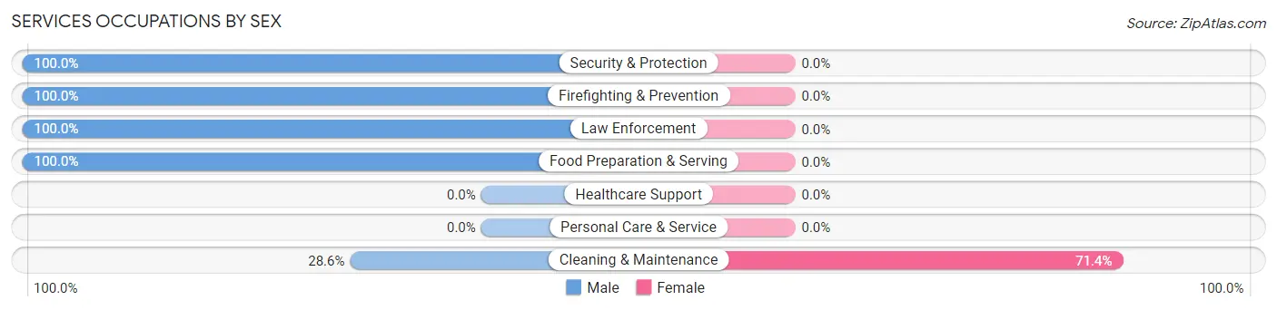 Services Occupations by Sex in Zip Code 05675