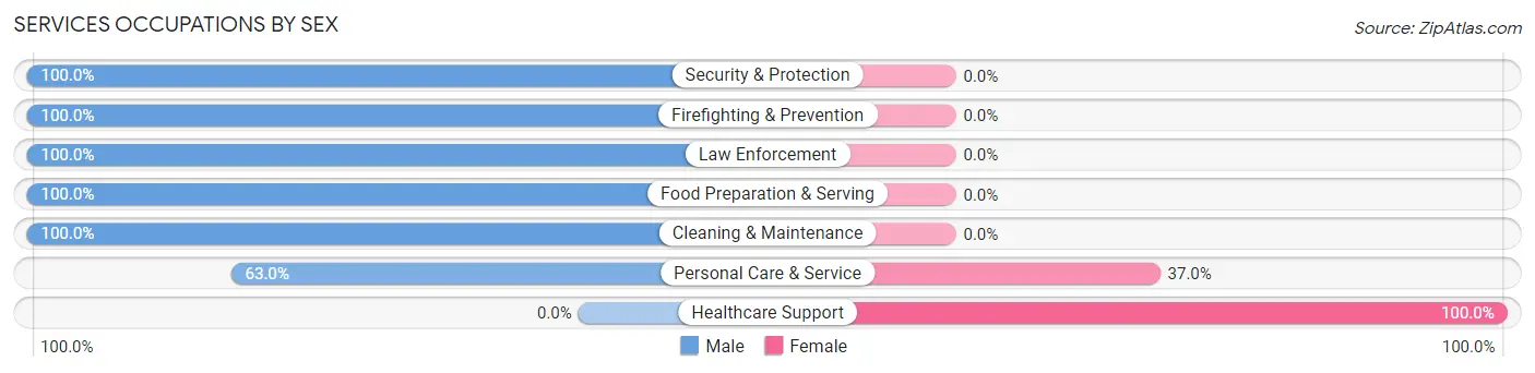 Services Occupations by Sex in Zip Code 05677