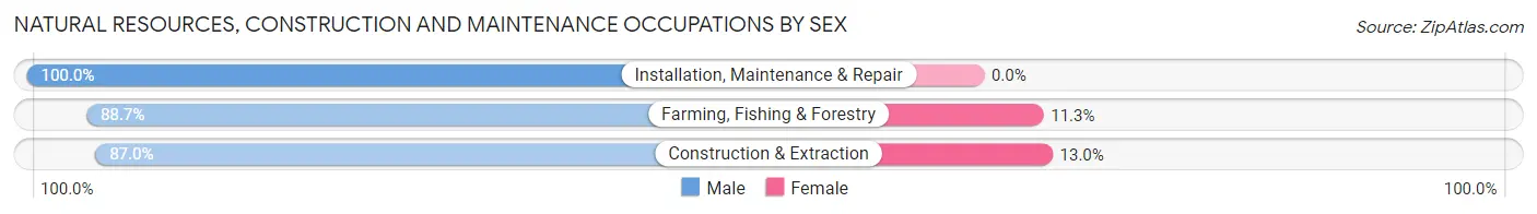Natural Resources, Construction and Maintenance Occupations by Sex in Zip Code 05734