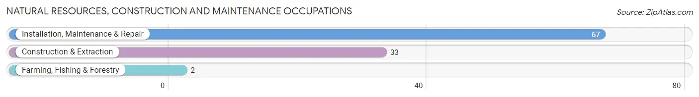 Natural Resources, Construction and Maintenance Occupations in Zip Code 05748