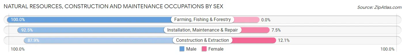 Natural Resources, Construction and Maintenance Occupations by Sex in Zip Code 05777